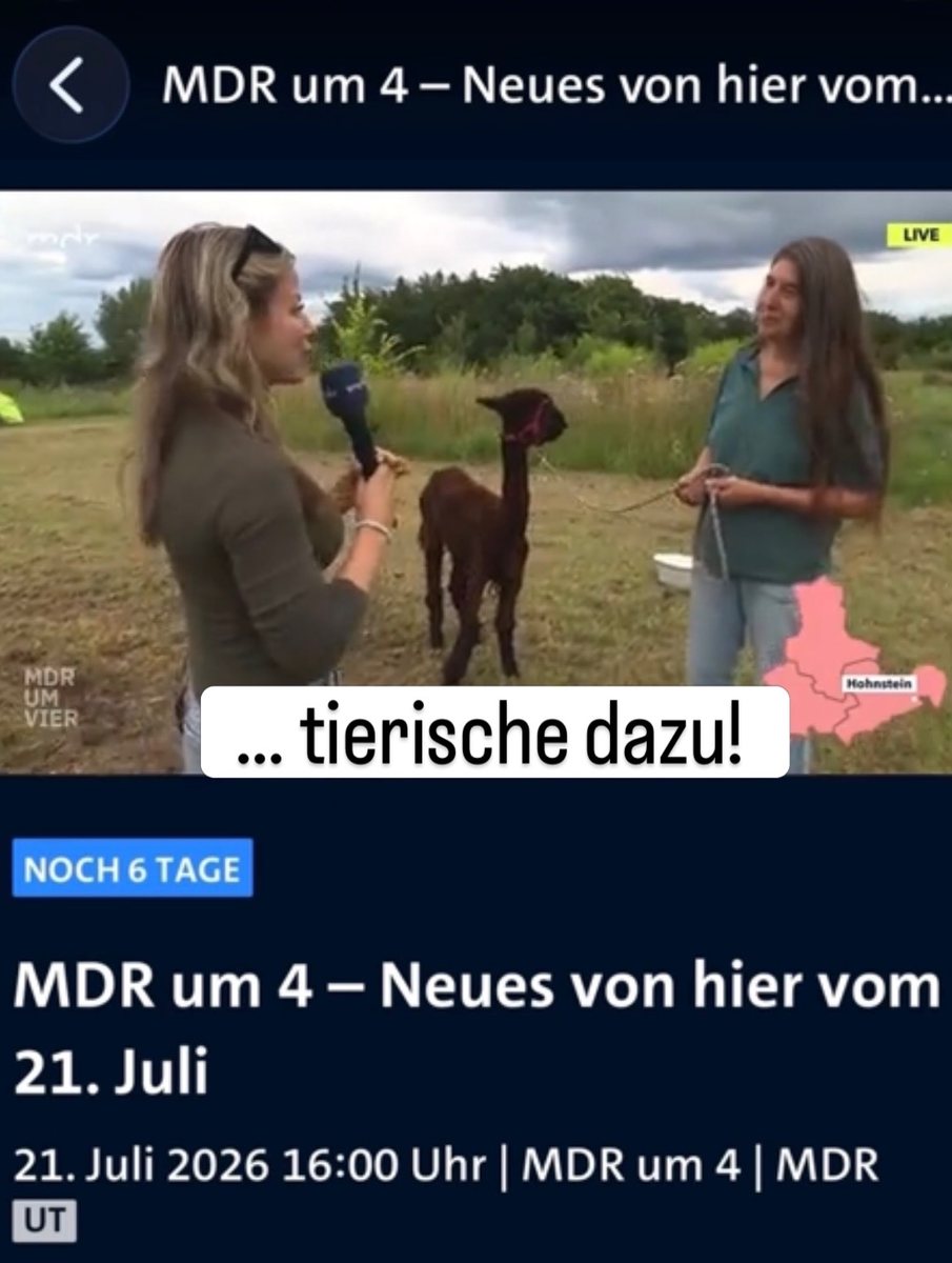 Jenna von Thäne bei MDR um 4 auf dem Permahof mit Alpaka